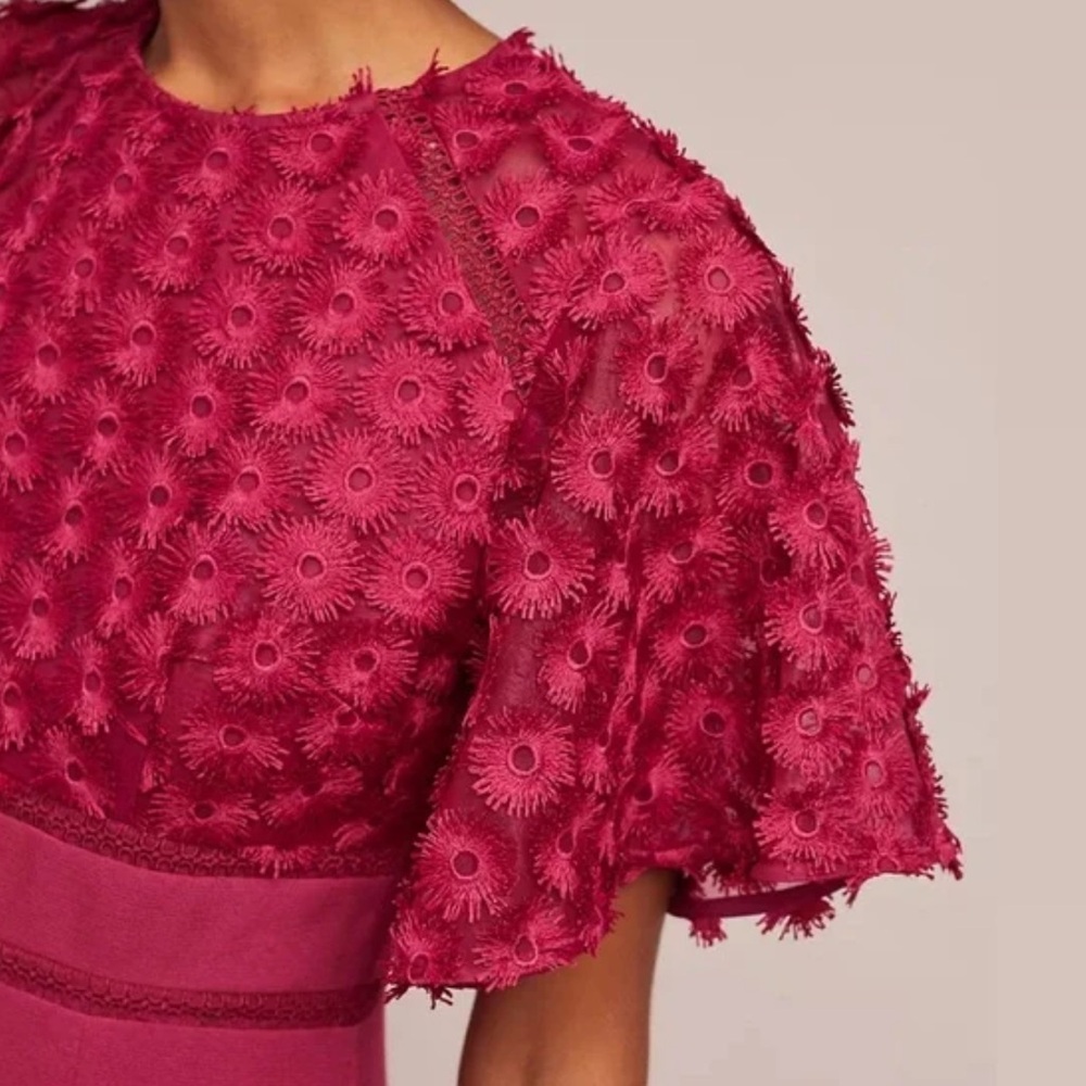 Beautiful Anthropologie Rosabelle Raspberry Dress - image 3